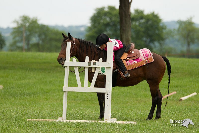 4H-1st-Show-11_1512.jpg