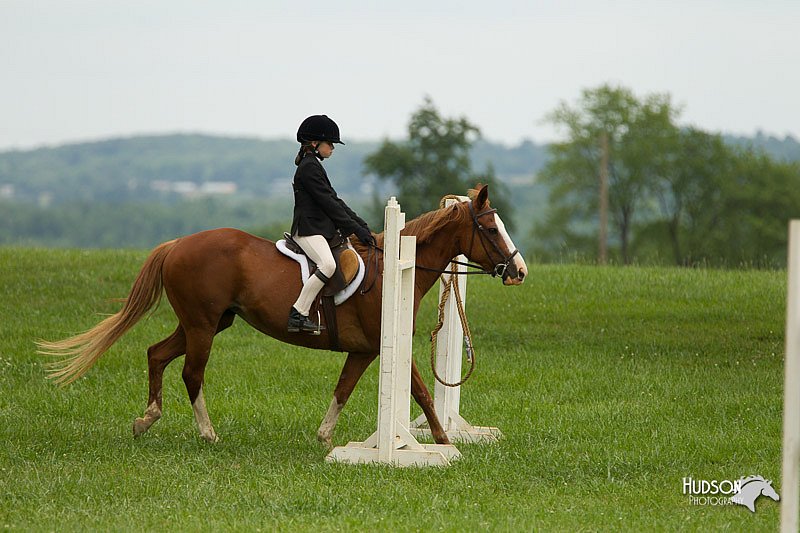 4H-1st-Show-11_1526.jpg
