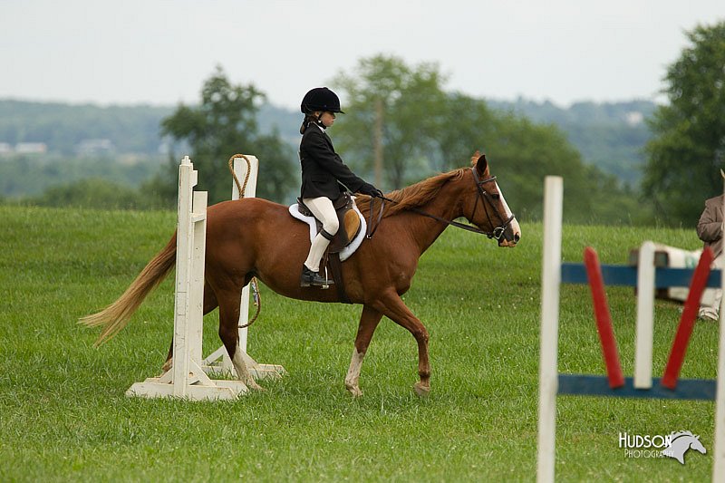 4H-1st-Show-11_1527.jpg
