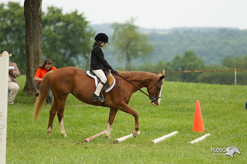 4H-1st-Show-11_1528.jpg