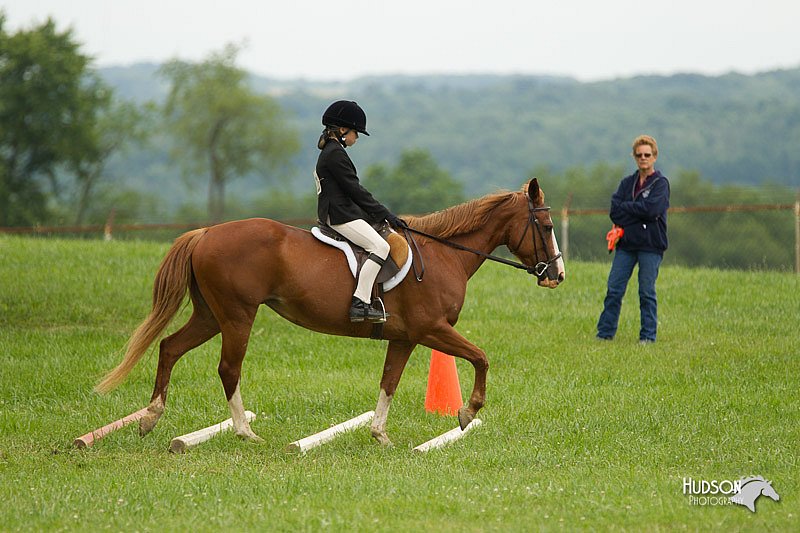 4H-1st-Show-11_1529.jpg