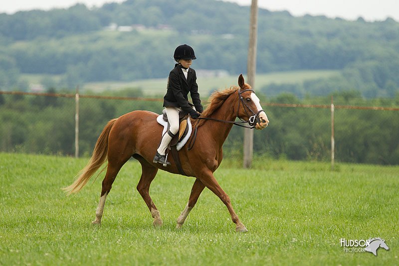 4H-1st-Show-11_1530.jpg