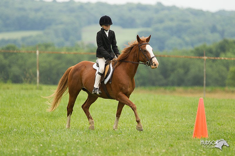 4H-1st-Show-11_1531.jpg