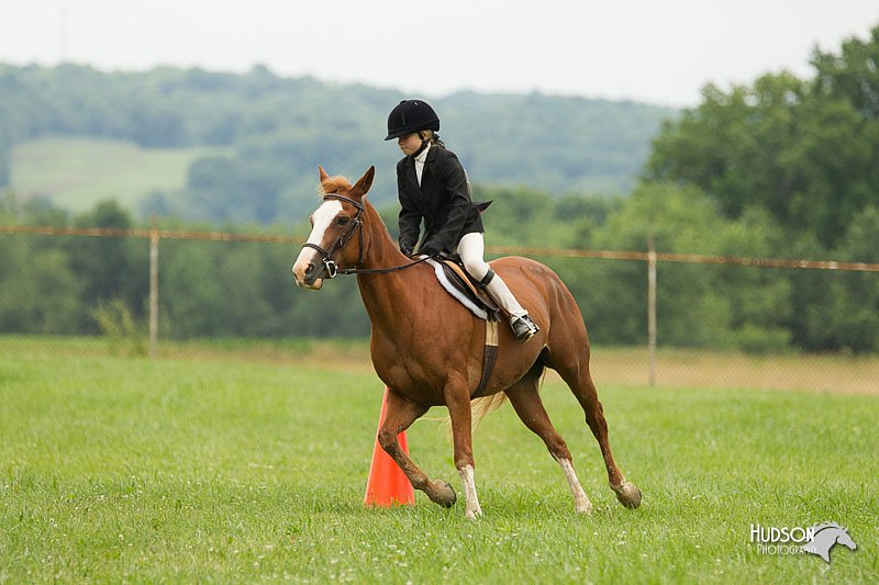 4H-1st-Show-11_1532.jpg