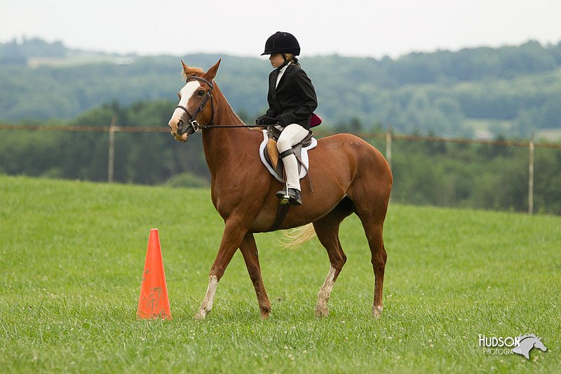 4H-1st-Show-11_1534.jpg