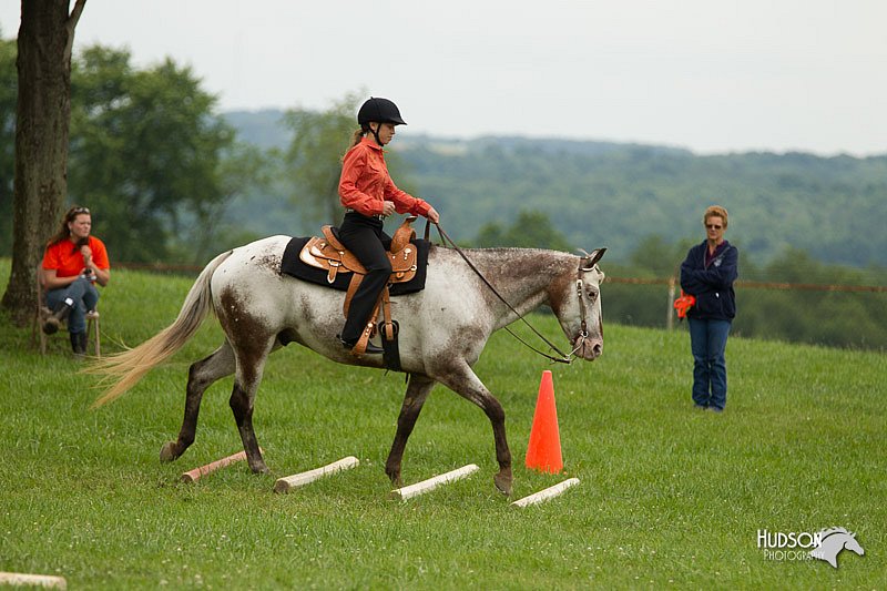 4H-1st-Show-11_1540.jpg