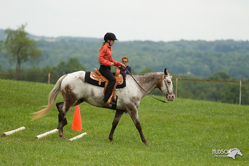 4H-1st-Show-11_1541.jpg