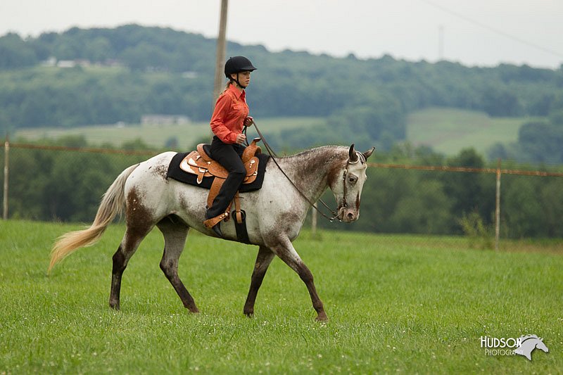 4H-1st-Show-11_1542.jpg