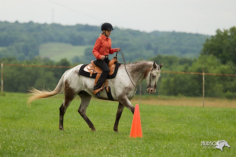 4H-1st-Show-11_1543.jpg