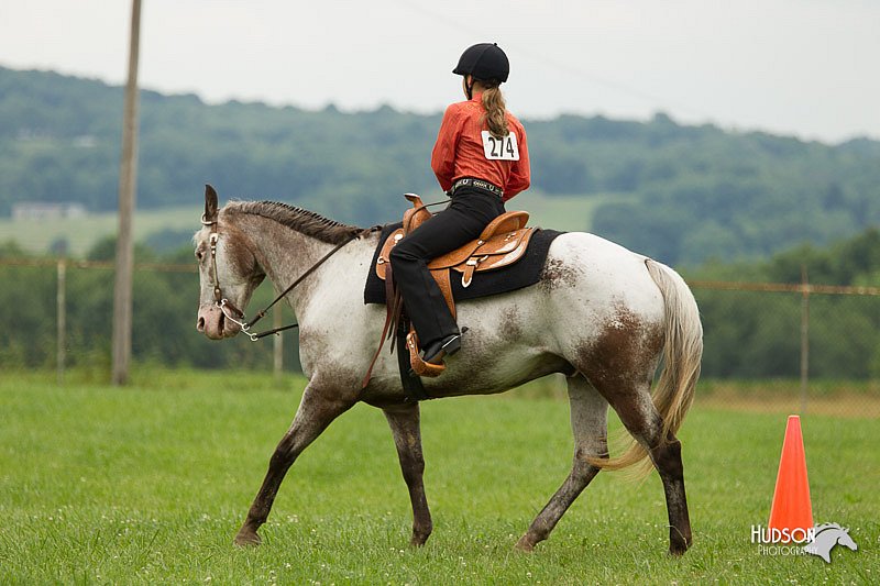 4H-1st-Show-11_1547.jpg