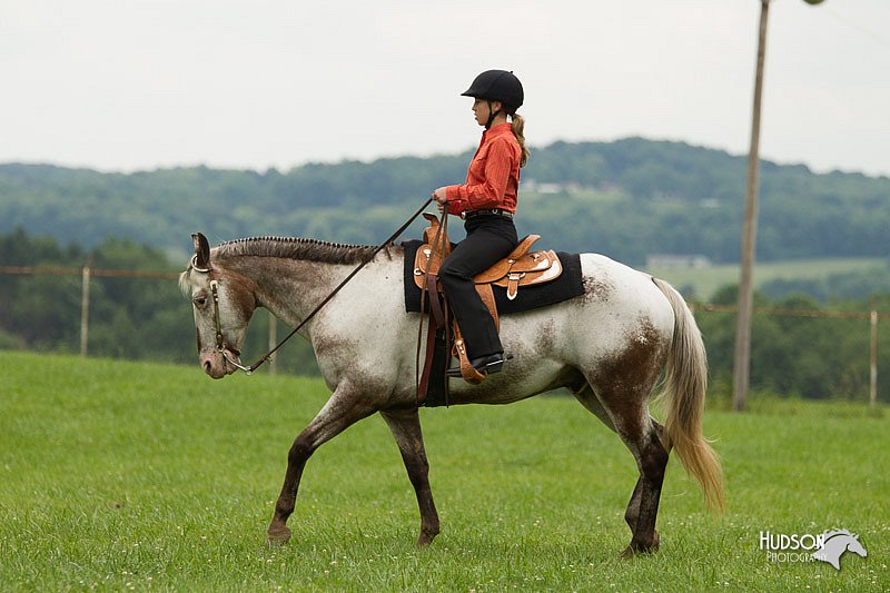 4H-1st-Show-11_1550.jpg