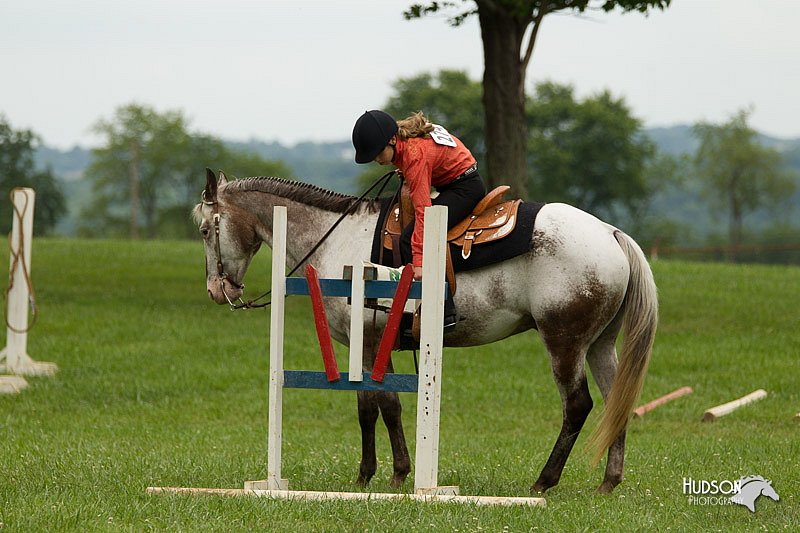 4H-1st-Show-11_1551.jpg