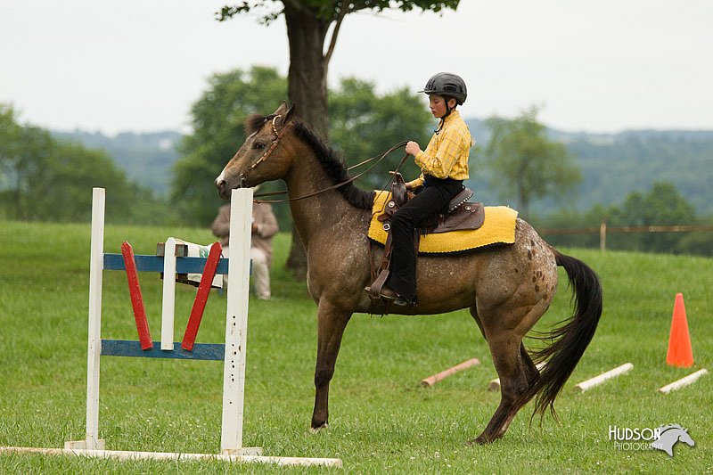4H-1st-Show-11_1559.jpg