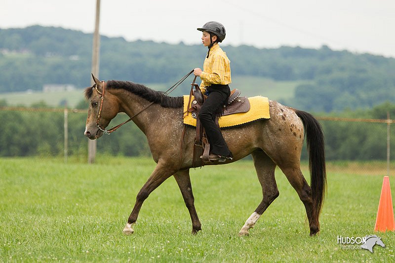 4H-1st-Show-11_1560.jpg