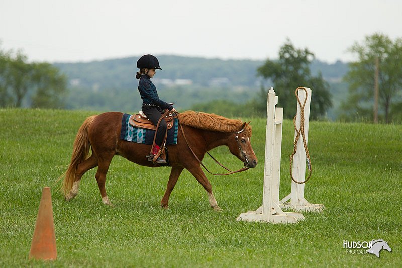 4H-1st-Show-11_1561.jpg