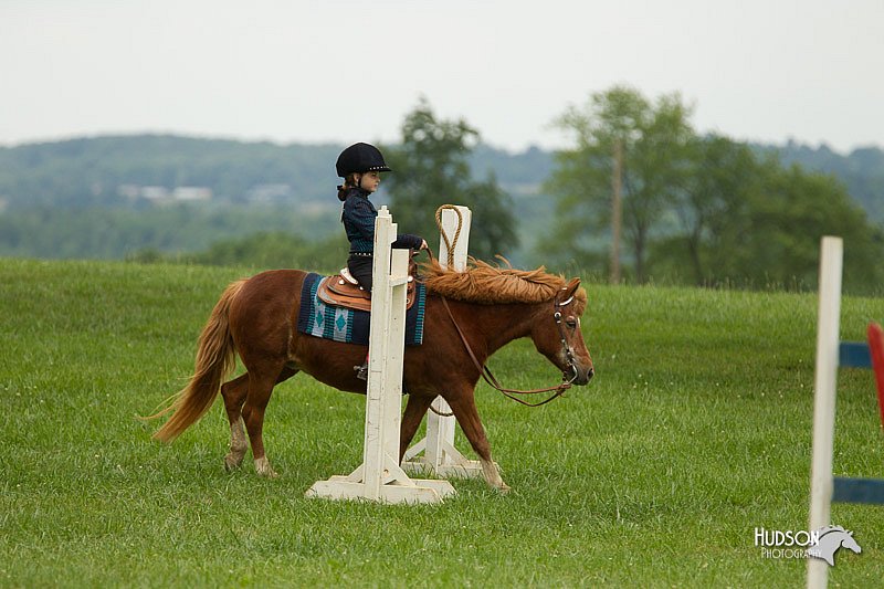 4H-1st-Show-11_1562.jpg