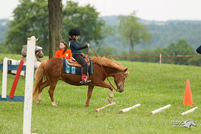 4H-1st-Show-11_1563.jpg