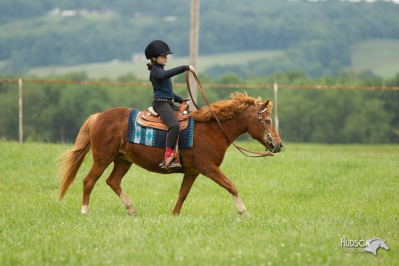 4H-1st-Show-11_1566.jpg