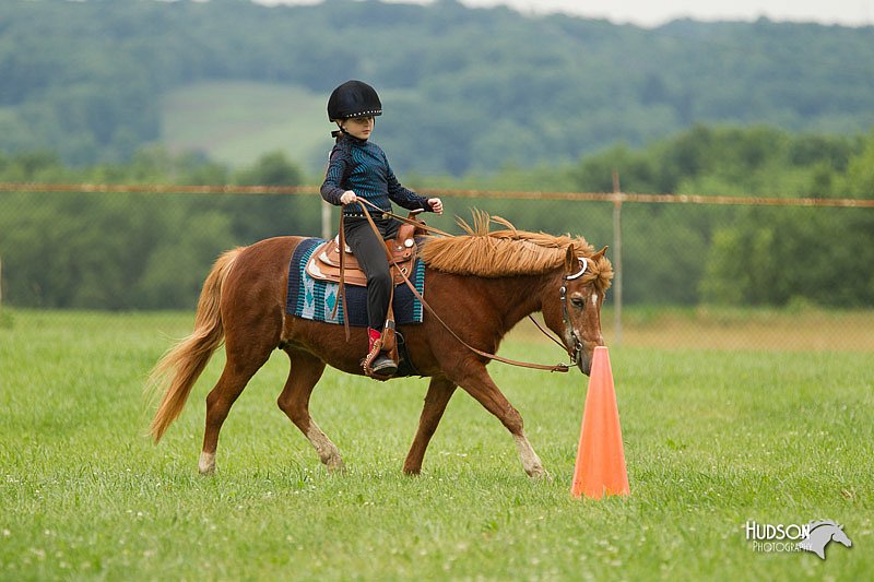 4H-1st-Show-11_1567.jpg