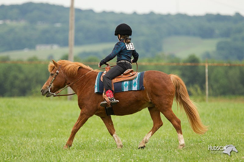 4H-1st-Show-11_1570.jpg
