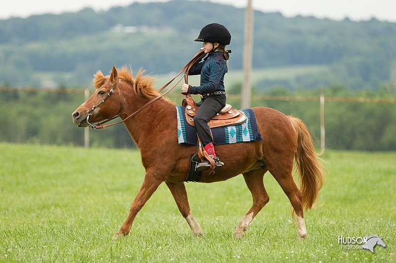 4H-1st-Show-11_1572.jpg