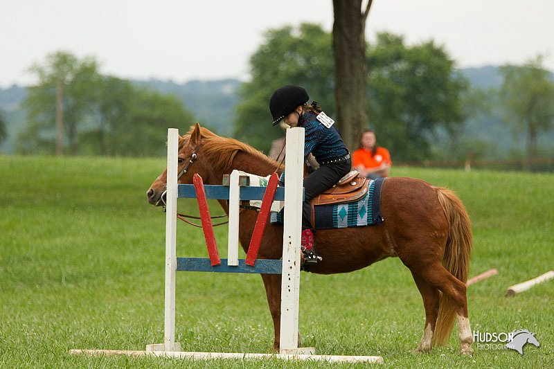 4H-1st-Show-11_1573.jpg