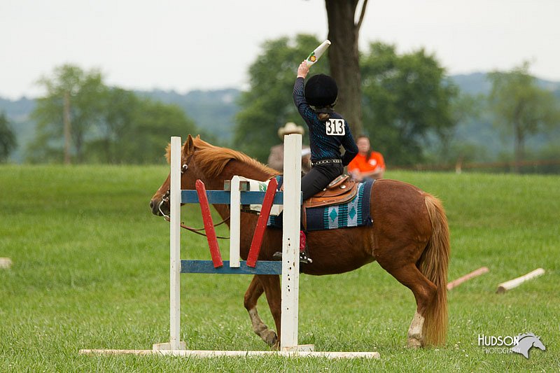 4H-1st-Show-11_1574.jpg