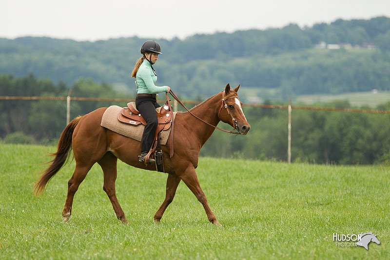 4H-1st-Show-11_1578.jpg