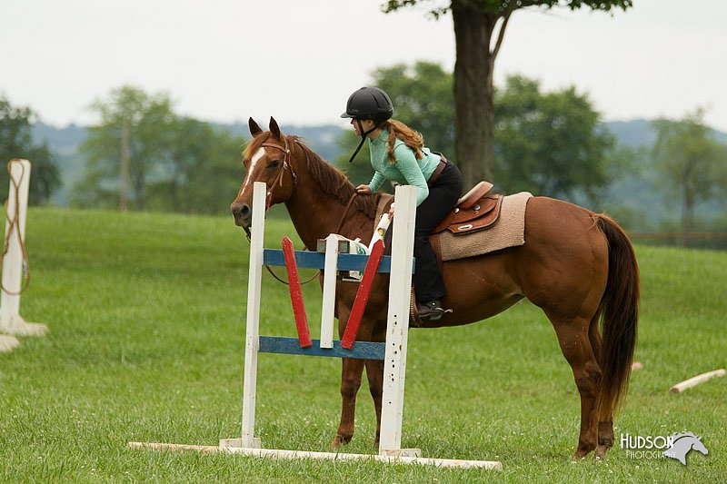 4H-1st-Show-11_1588.jpg