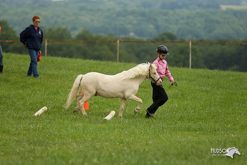 4H-1st-Show-11_1595.jpg