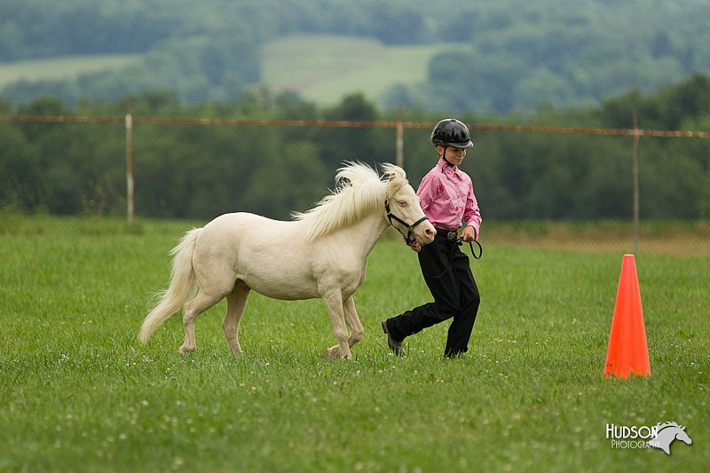 4H-1st-Show-11_1598.jpg