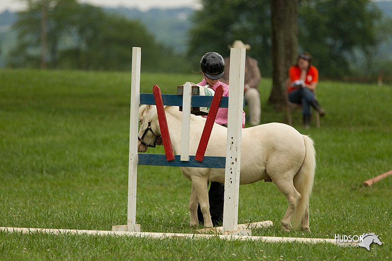4H-1st-Show-11_1600.jpg