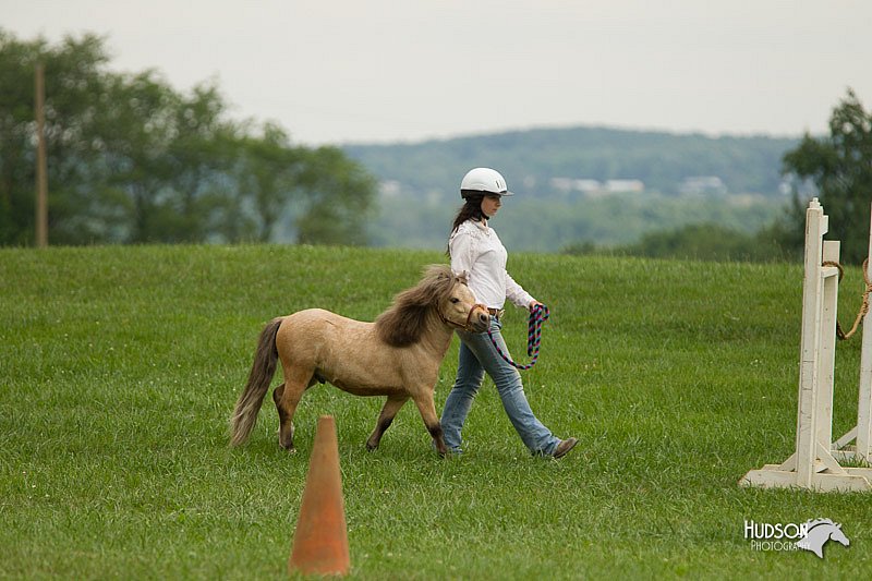 4H-1st-Show-11_1603.jpg