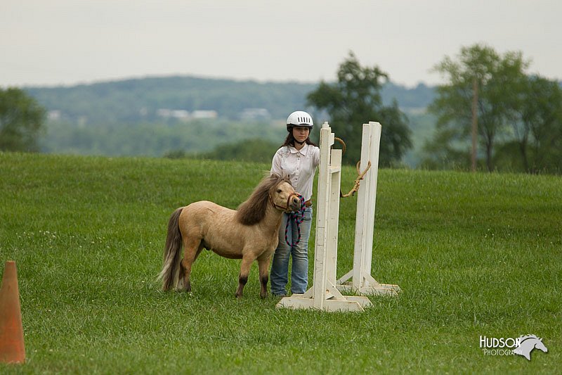 4H-1st-Show-11_1604.jpg