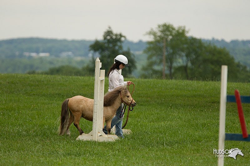 4H-1st-Show-11_1605.jpg