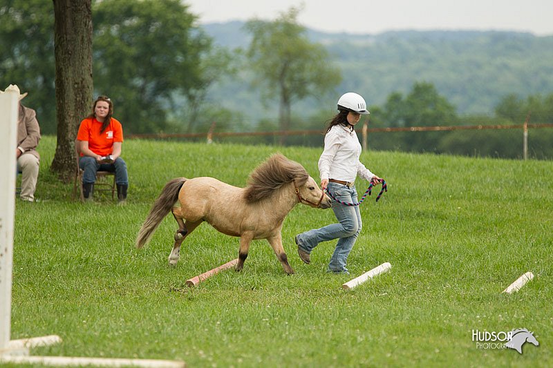 4H-1st-Show-11_1607.jpg