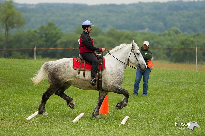 4H-1st-Show-11_1650.jpg