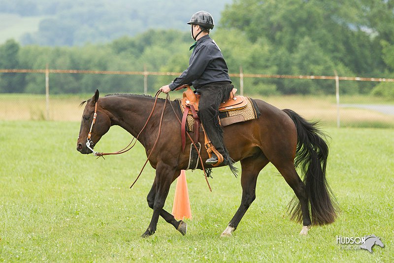 4H-1st-Show-11_1678.jpg