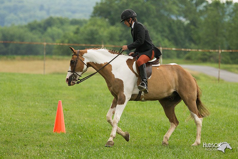 4H-1st-Show-11_1695.jpg