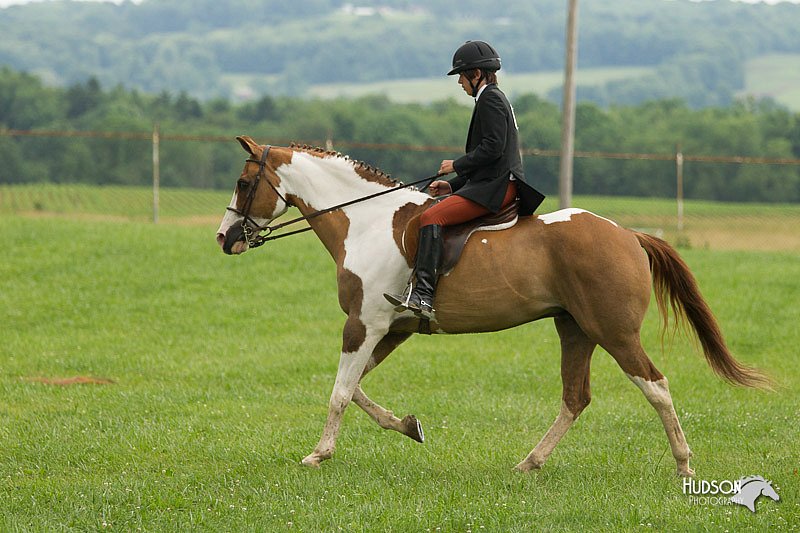 4H-1st-Show-11_1697.jpg