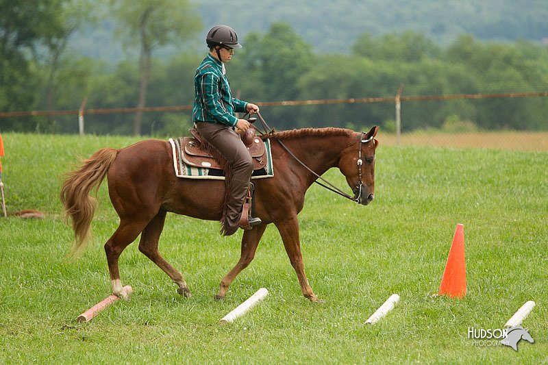 4H-1st-Show-11_1702.jpg