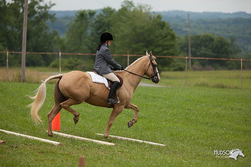 4H-1st-Show-11_1715.jpg