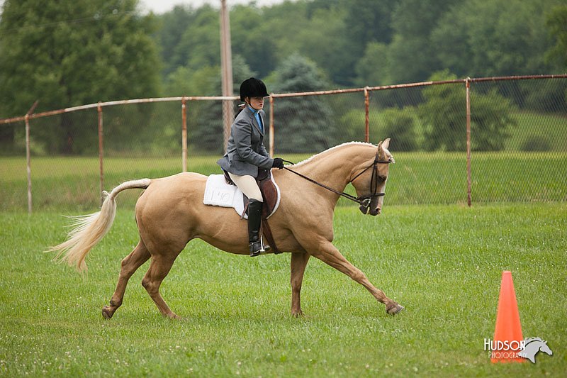 4H-1st-Show-11_1717.jpg