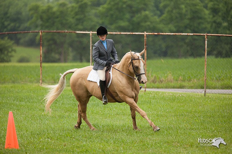 4H-1st-Show-11_1718.jpg