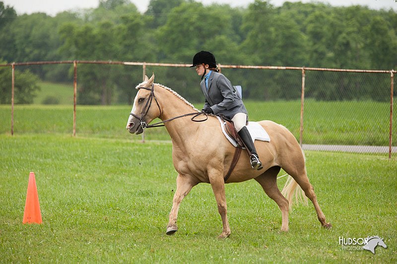 4H-1st-Show-11_1719.jpg