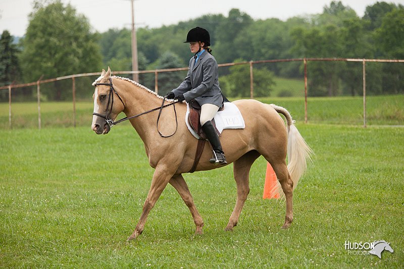 4H-1st-Show-11_1720.jpg