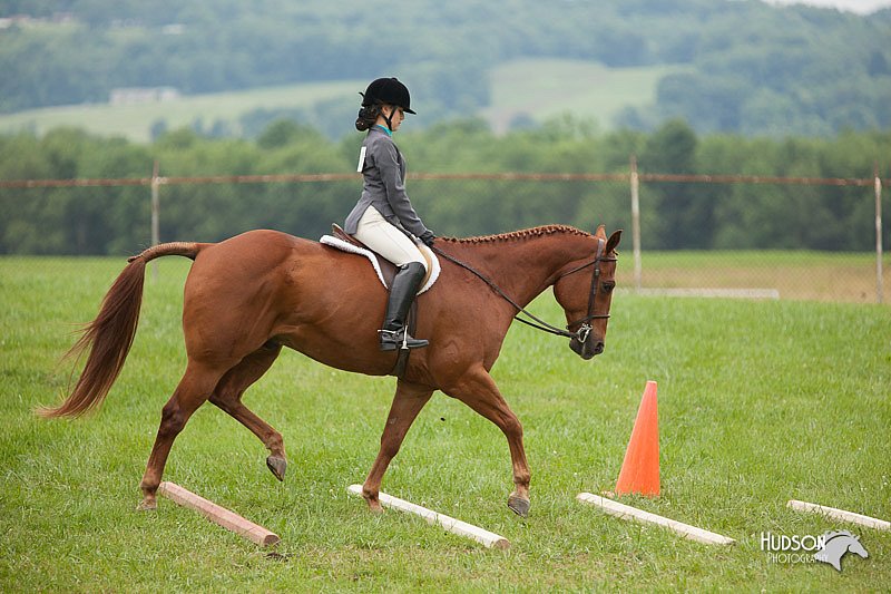 4H-1st-Show-11_1723.jpg