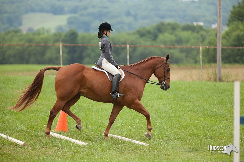 4H-1st-Show-11_1724.jpg