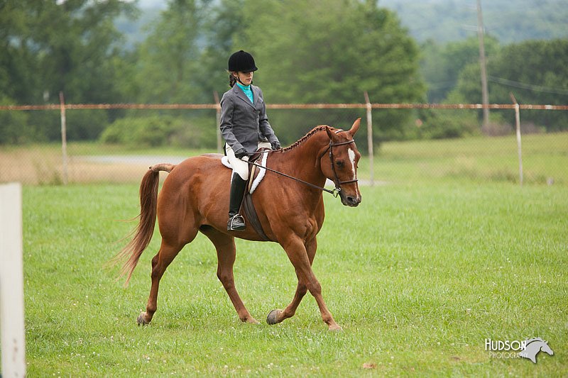 4H-1st-Show-11_1725.jpg