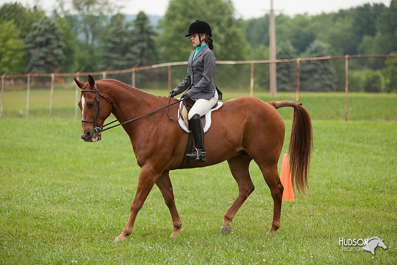 4H-1st-Show-11_1727.jpg